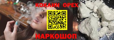 кокс Бердск